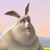 bunny-tight.png