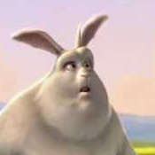 bunny-tight5.png