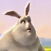 bunny-zywrle5.png