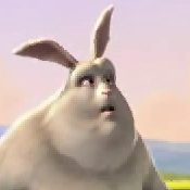 bunny-zywrle8.png